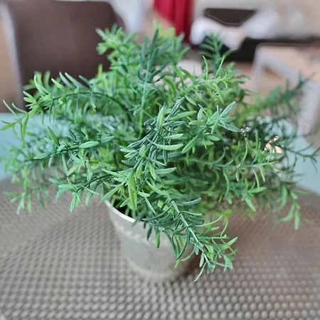 Apartman Strandglueck Haus A Strandglueck 5a Scharbeutz